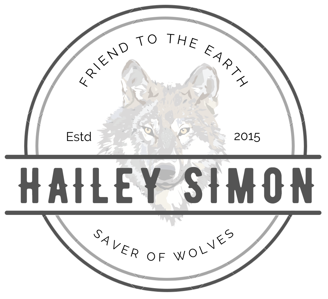 Hailey Simon's Blog