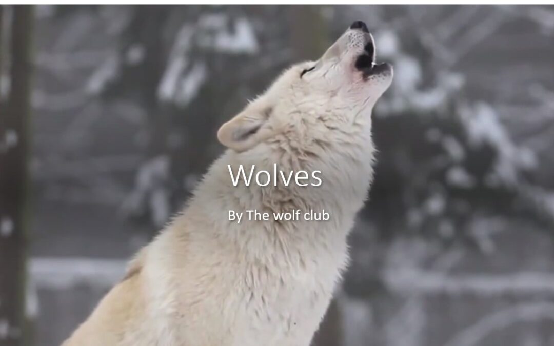 Wolves